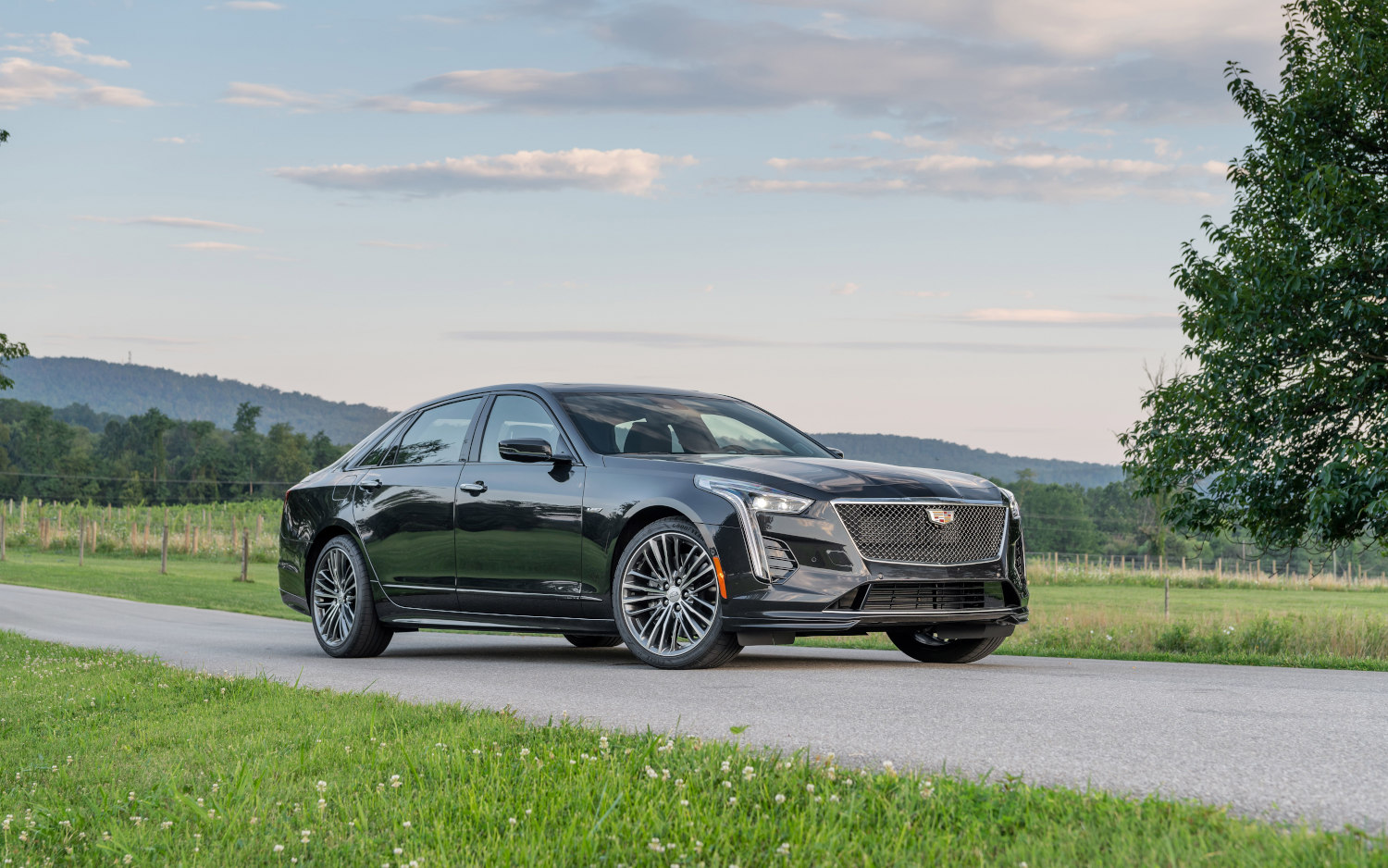Comparison Cadillac CT6V 2020 vs Audi S8 Plus